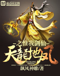 小说：惟我剑仙，作者：飙风神雕