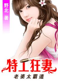 小说：特工狂妻：男人，别泡我！，作者：野北