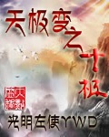 小说：天极变之十极，作者：光明左使YWD