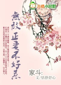 小说：穿越：无敌正妻不好惹，作者：恬静舒心