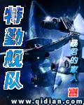 小说：特勤舰队，作者：暴君的家人