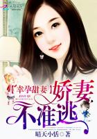 小说：幸孕甜妻：娇妻，不准逃，作者：晴天小恬