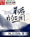 小说：最后的三国，作者：风之清扬