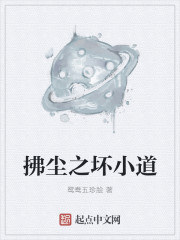 小说：拂尘之坏小道，作者：鸳鸯五珍脍