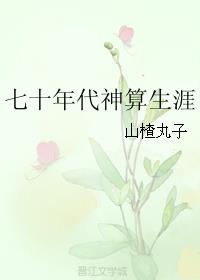 小说：七十年代神算生涯，作者：山楂丸子