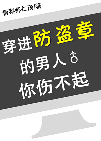 小说：穿进防盗章的男人你伤不起，作者：青菜虾仁汤