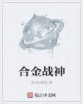 小说：合金战神，作者：发光的键盘