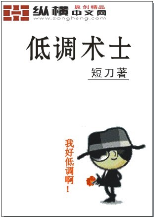小说：低调术士，作者：短刀
