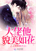 小说：大佬他貌美如花，作者：云锦如初