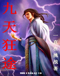小说：九天狂途，作者：百龙之光