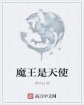 小说：魔王是天使，作者：墨天幻