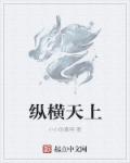 小说：纵横天上，作者：小小的慕容