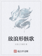 小说：放浪形骸歌，作者：失落之节操君