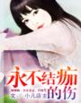 小说：永不结痂的伤，作者：小儿店主