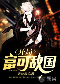 小说：开局富可敌国，作者：张晓歌