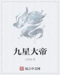 小说：九星大帝，作者：世界晴