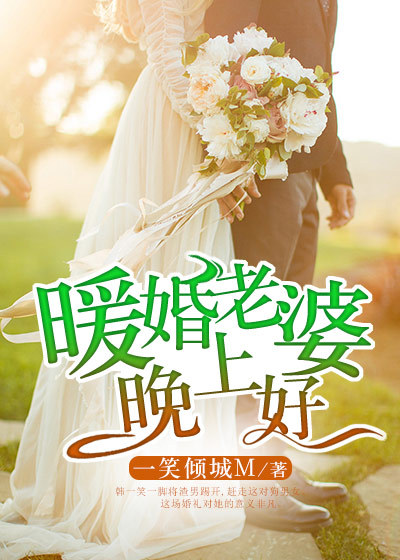 小说：暖婚老婆晚上好，作者：一笑倾城M