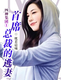 小说：四神集团①：首席总裁的逃妻，作者：恍若晨曦