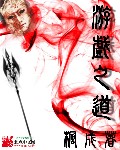 小说：游戏之道，作者：枫成