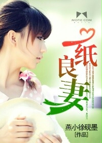 小说：一纸良妻，作者：燕小徐砚墨