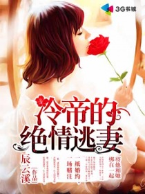 小说：冷帝的绝情逃妻，作者：辰云溪