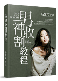 小说：如何让我遇见你，作者：杨紫陌