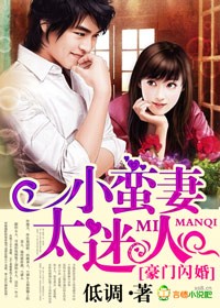 小说：豪门闪婚，小蛮妻太迷人，作者：低调