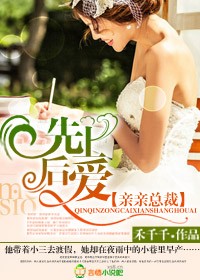 小说：总裁，先婚后爱，作者：禾千千