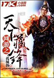 小说：网游之天下藏锋，作者：孤城扬