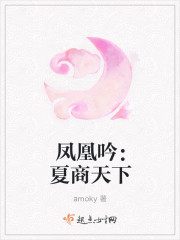 小说：凤凰吟：夏商天下，作者：amoky