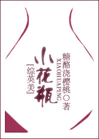 小说：[综英美]小花瓶，作者：糖酪浇樱桃