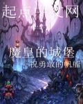 小说：魔皇的城堡，作者：祝勇敢的帆船