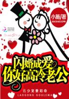 小说：闪婚成爱：你好，高冷老公，作者：小施