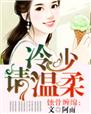 小说：蚀骨缠绵：冷少请温柔，作者：阿雨