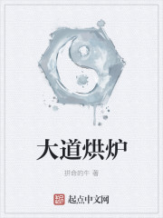 小说：大道烘炉，作者：拼命的牛