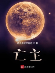 小说：亡主，作者：西瓜有皮不好吃