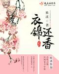 小说：衣锦还香，作者：默溪