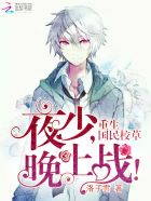 小说：重生国民校草：夜少，强势宠！，作者：洛子雲