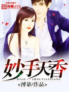 小说：妙手天香，作者：博柒