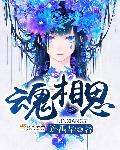 小说：魂相思，作者：连禹华
