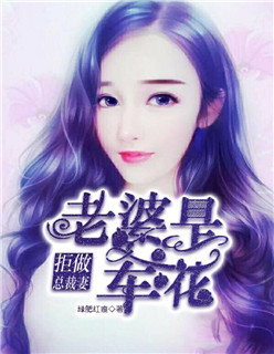 小说：拒做总裁妻：老婆是军花，作者：绿肥红瘦