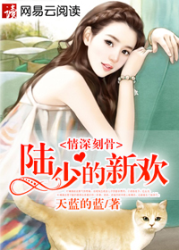小说：情深刻骨：陆少的新欢，作者：天蓝的蓝