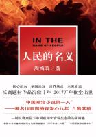小说：人民的名义（影视原著），作者：周梅森