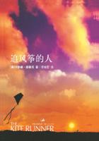 小说：追风筝的人，作者：(美)卡勒德・胡赛尼