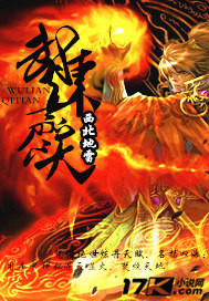 小说：武炼齐天，作者：西北地雷