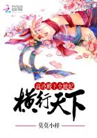 高冷殿下全能妃:横行天下