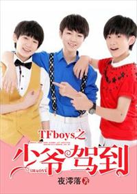 小说：TFboys之少爷驾到，作者：夜澪落