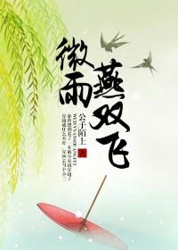 小说：微雨燕双飞，作者：公子陌上