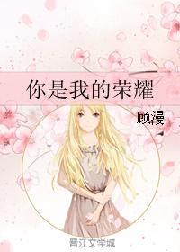 小说：你是我的荣耀，作者：顾漫