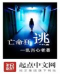 小说：亡命狂逃，作者：乱吾心者